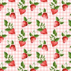2.5"  Strawberries Pink Gingham