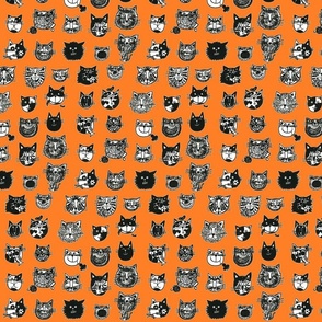 Orange and Black Cats