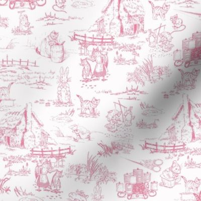 Tailor of Gloucester Toile