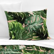 monstera tropical leaves on peach pink