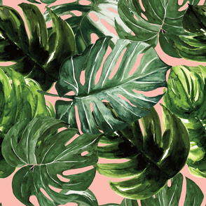 monstera tropical leaves on peach pink