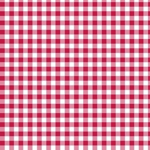 1/4" Gingham Barberry Red White