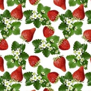 Strawberries Farm Fresh White