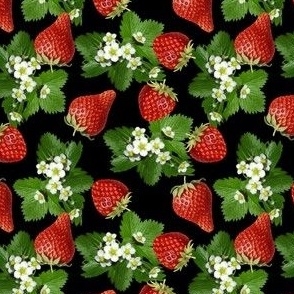 Strawberries Farm Fresh Black