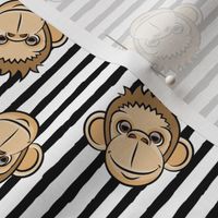monkeys - black stripes - LAD20