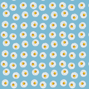 Eggs on Blue