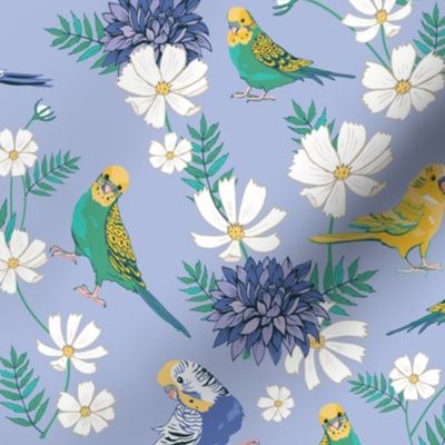 Budgies on Blue