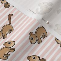 Chipmunks - cute woodland - pink stripes - LAD20