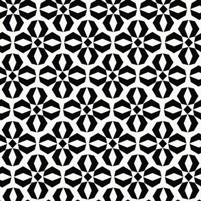 Geometric Wallflower | B&W