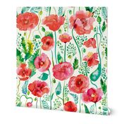 Poppy Poppies Poppy Watercolor Floral Red