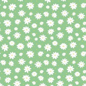 White Daisy on Green
