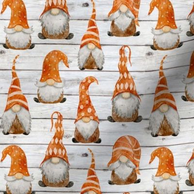 Fall Gnomes on Shiplap - small scale