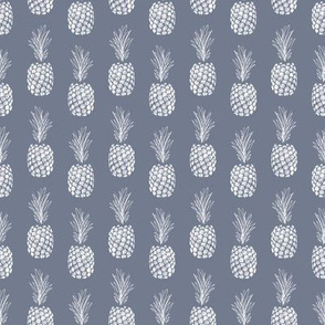 small sketchy pineapple_slate and white