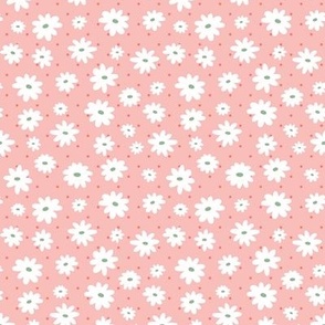 White Daisy on Coral