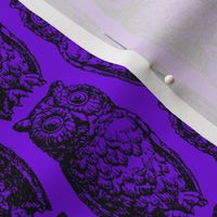 spooky owl black on purple