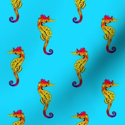 Seahorse  Turquoise Blue Small