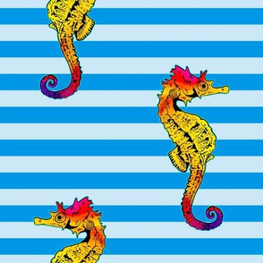 Seahorses Blue Stripe 