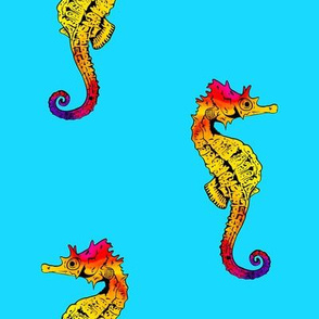 Seahorses on Turquoise