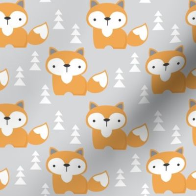 small foxes on grey