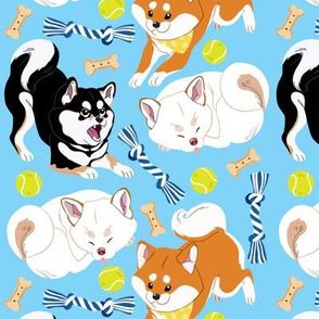 Shibas