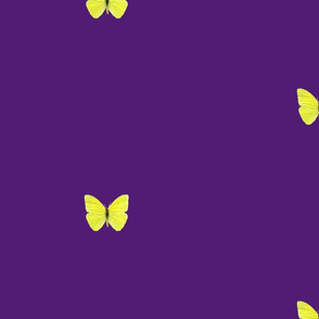 Yellow butterfly on purple frankiebenka.com