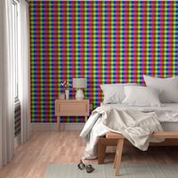 Rainbow Checkerboard Gingham