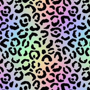 Rainbow Leopard Print Patttern