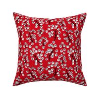 Delicate garden snow berries and poppy seeds classic winter Christmas garden red white