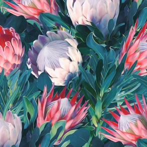 Pastel Proteas with Blue Green Leaves - large