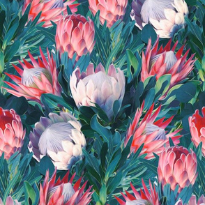 Pastel Proteas with Blue Green Leaves - medium