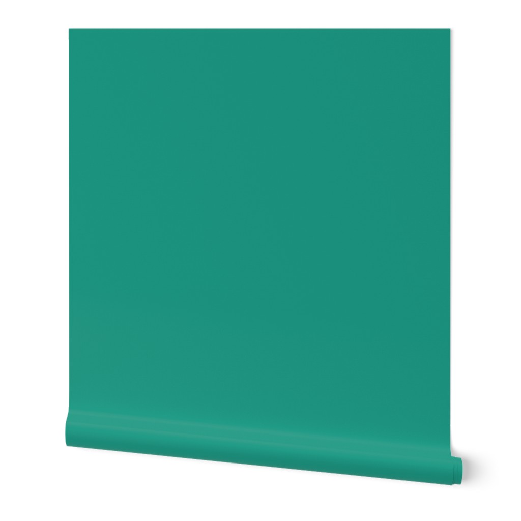 Perfect Teal Solid