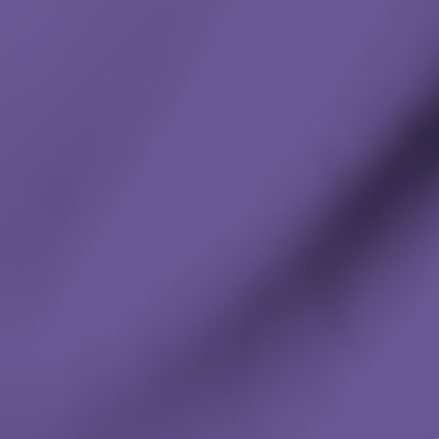 Bluish Purple Solid