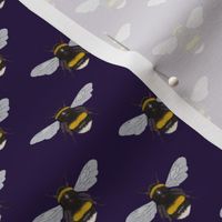 Bumblebees on solid violet