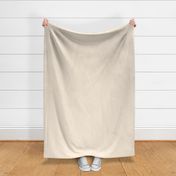 Sun Bleached Linen Solid- Beach Coastal-Soft-Warm-Neutral