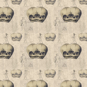 Grungy Cream  Black Antique Anatomy Fetal Conjoined Skull Oddity Fabric Curiosity Cabinet