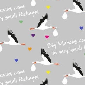 preemie love - big miracles come in very small packages - storks gray multicolor