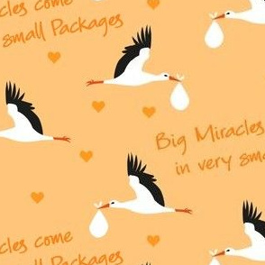 preemie love - big miracles come in very small packages - storks orange