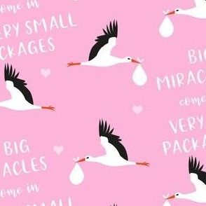 preemie love - big miracles come in very small packages - storks pink