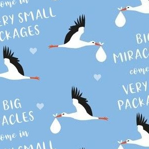 preemie love - big miracles come in very small packages - storks blue