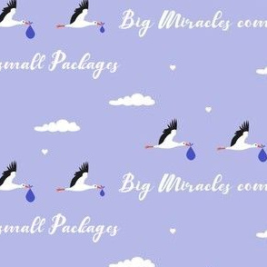 preemie storks on lilac - big miracles come in very small packages