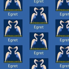Nautical letter E - Egret
