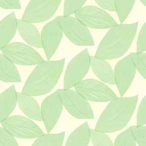 Soft_Green Leaves