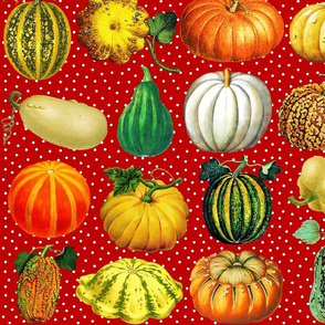 Pumpkins on red dots