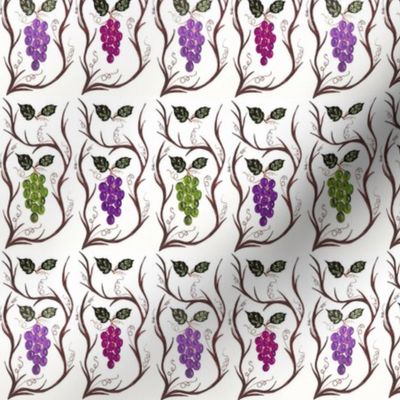 1064-M Medium Grapes & Vines