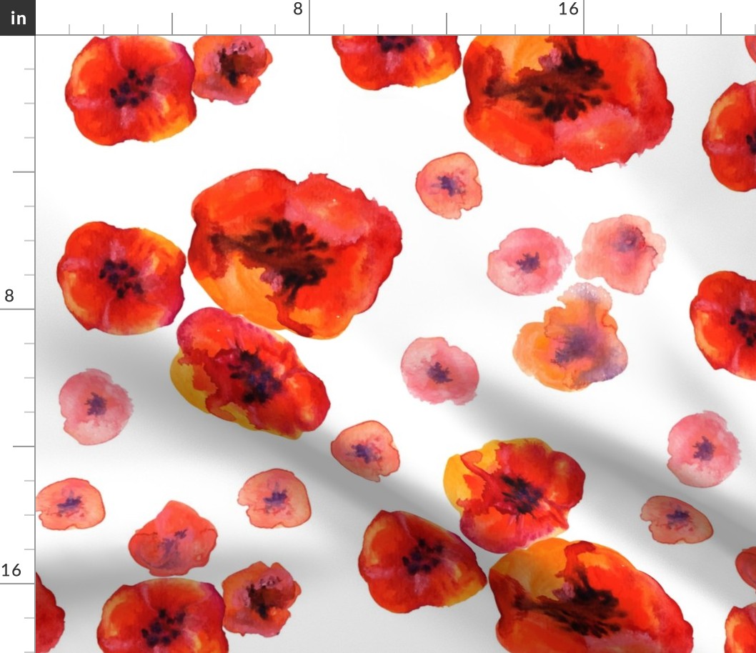 Poppy collection