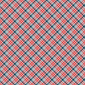 Small Navy and Red Diagonal Plaid