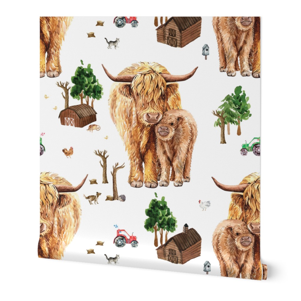 3.5" highland cattle farm, Scottish cow