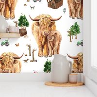 3.5" highland cattle farm, Scottish cow