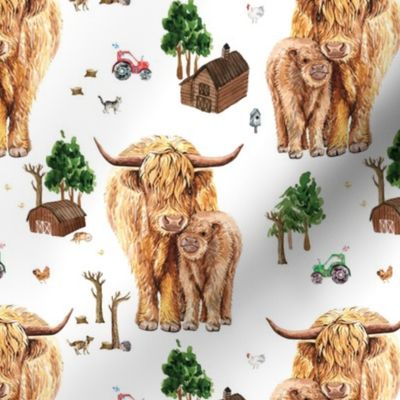 3.5" highland cattle farm, Scottish cow