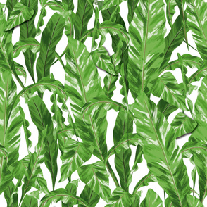 Tropical Green Leaves